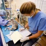 Hospital veterinario de especialidad en Veracruz