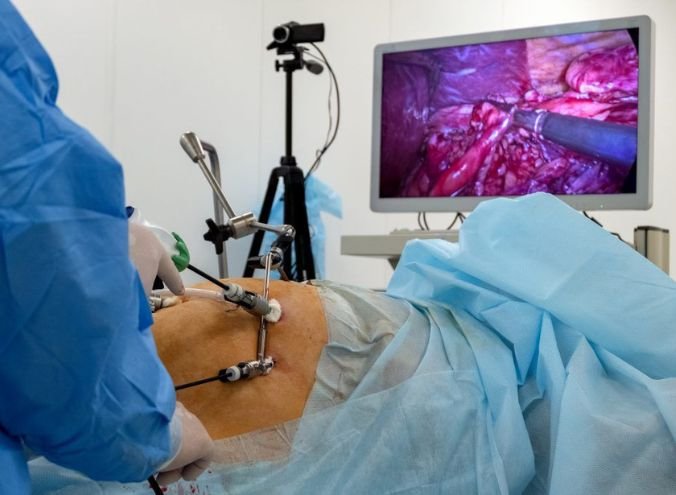 Cirugia de minima invasion veterinaria