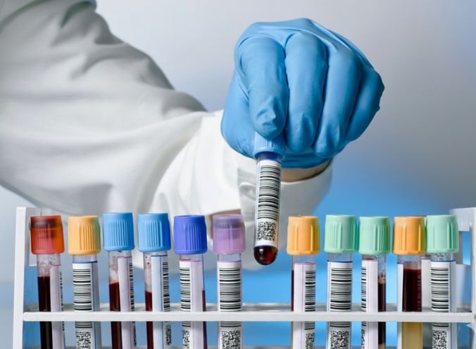 Hospital Veterinario boca del Rio